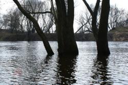Киев пытаются спасти от наводнения